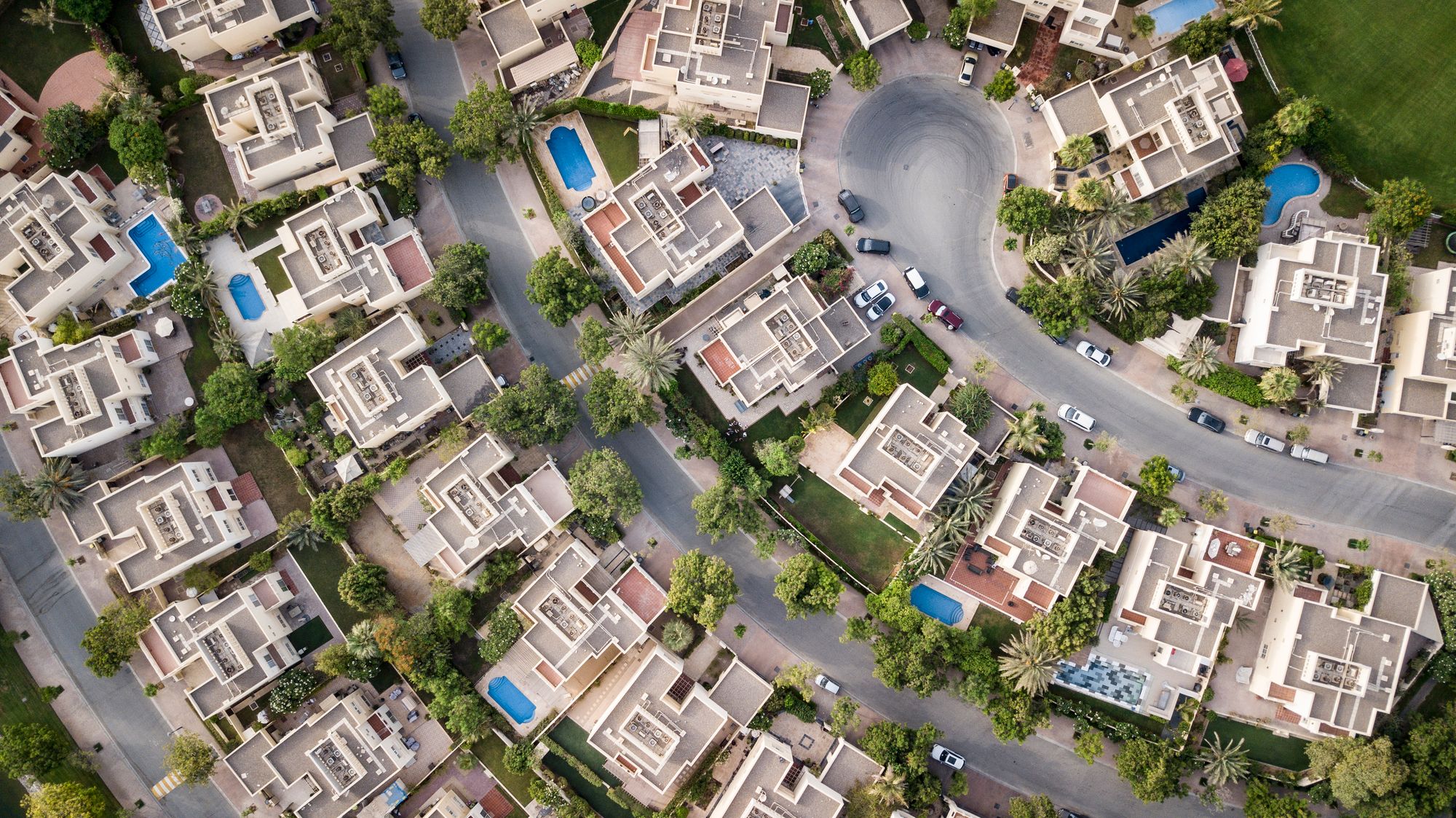 Habulus Group — Development One